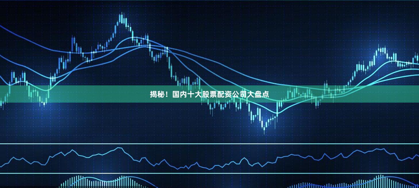 揭秘！国内十大股票配资公司大盘点