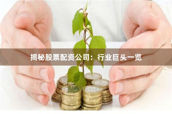 揭秘股票配资公司：行业巨头一览