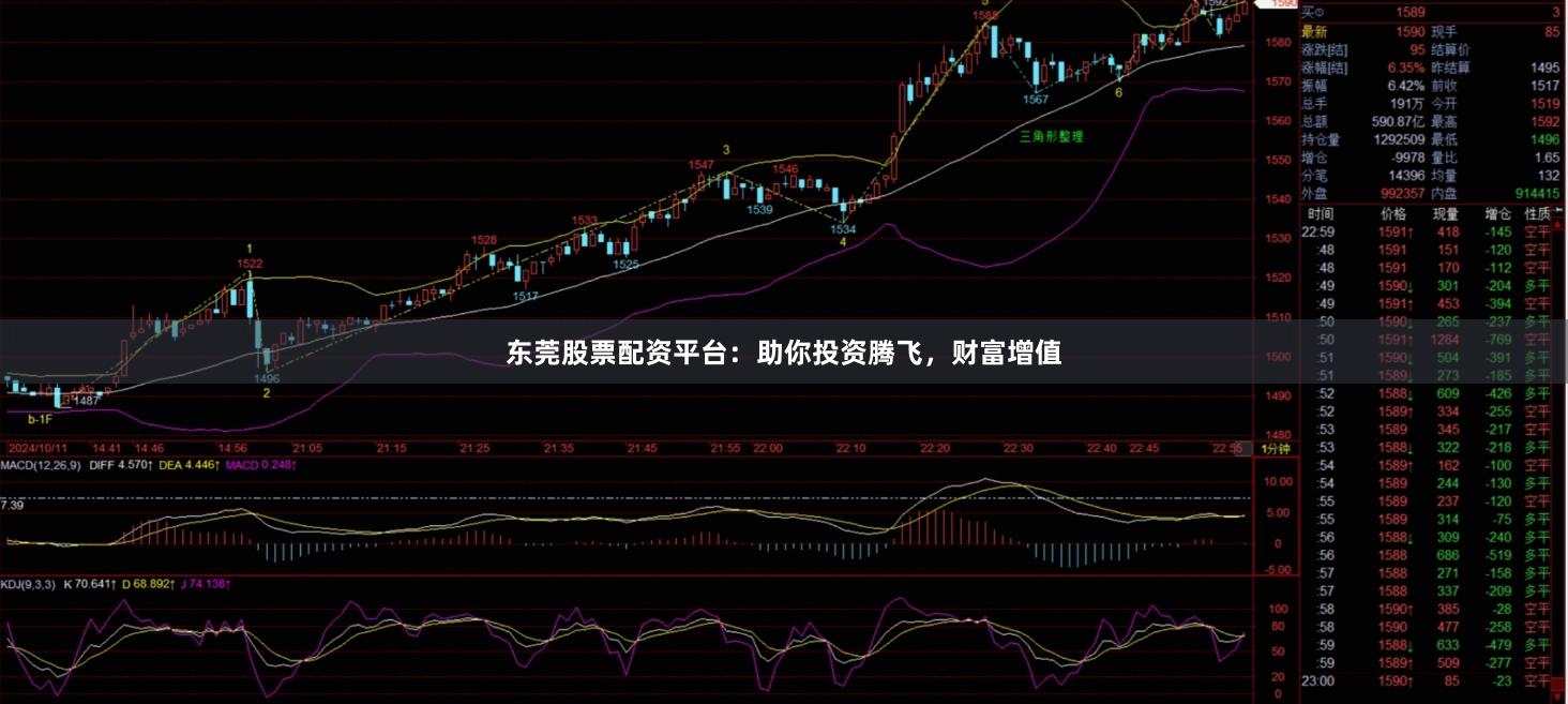 东莞股票配资平台：助你投资腾飞，财富增值