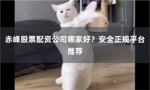 赤峰股票配资公司哪家好?安全正规平台推荐