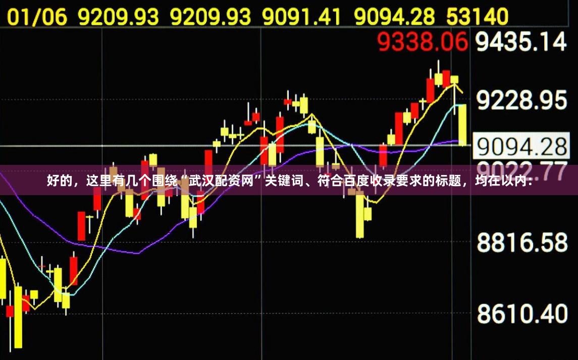 好的，这里有几个围绕“武汉配资网”关键词、符合百度收录要求的标题，均在以内：
