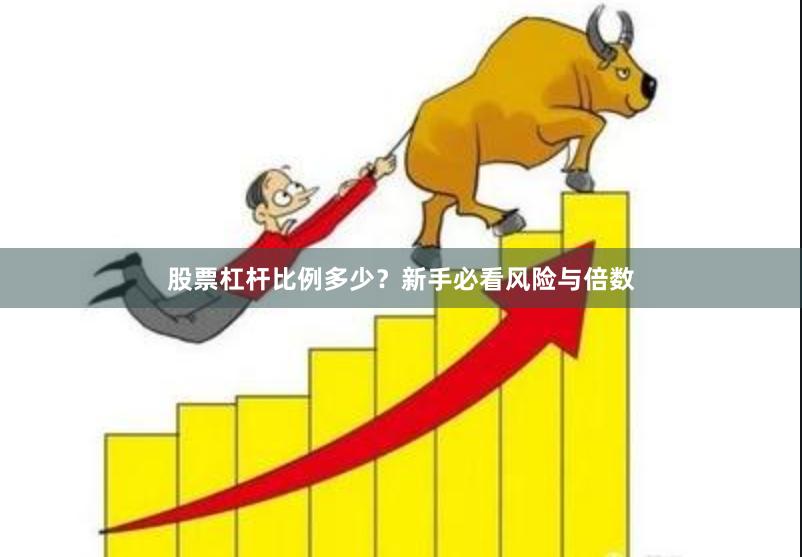 股票杠杆比例多少?新手必看风险与倍数