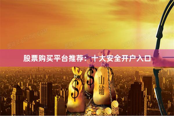 股票购买平台推荐：十大安全开户入口